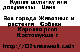 Куплю щенячку или документы › Цена ­ 3 000 - Все города Животные и растения » Собаки   . Карелия респ.,Костомукша г.